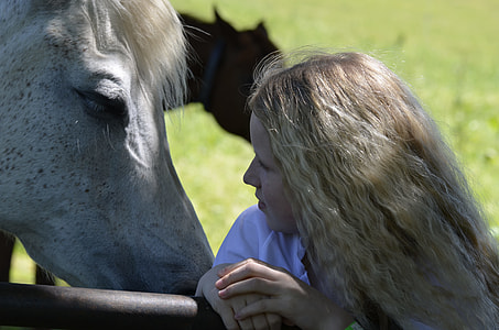 woman close to white horse thumbnail