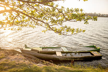 two green and beige canoes in body of water during daytime thumbnail