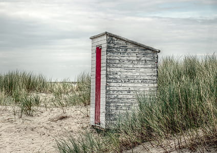 gray and red wooden barn house surround by grass thumbnail