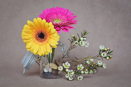 yellow and pink daisy flowers in glass vase thumbnail