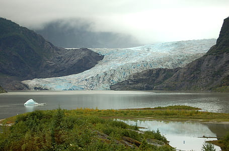body of water surrounded by plants thumbnail