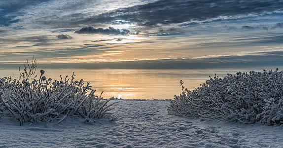 photo of snow-covered field during daytime thumbnail