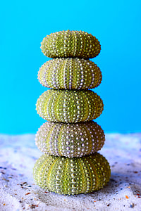 stack of green plants thumbnail