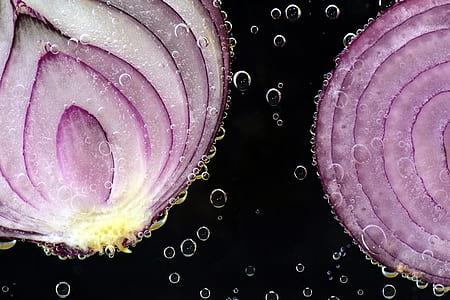 macro photograph of sliced onions thumbnail