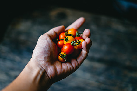 human holding orange fruit lot thumbnail