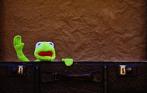 Kermit the Frog thumbnail