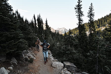 person walking between trees during daytime thumbnail
