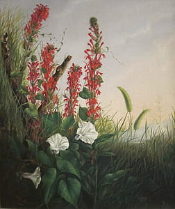 red cardinal flowers beside white moon flowers painting thumbnail