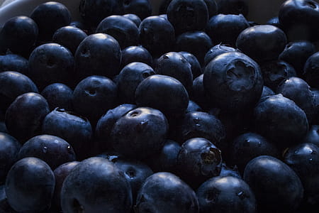 Closeup Photo of Blueberries thumbnail