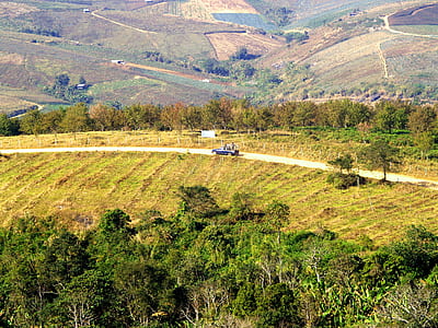 road, landscape, nature, trees thumbnail