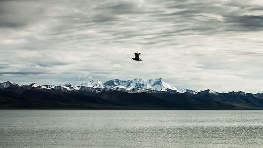 The Scenery, Tibet thumbnail