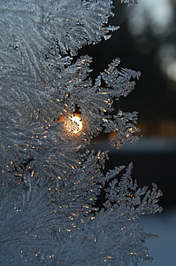 snowflakes close-up photo thumbnail