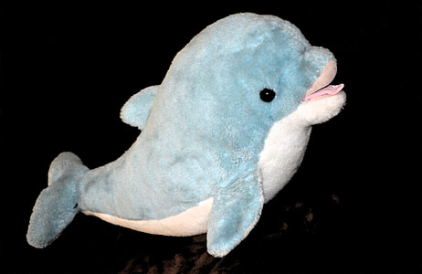 close-up photo of blue and white dolphin plush toy thumbnail