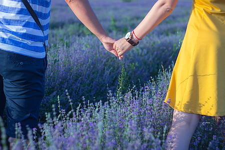 man and woman holding hands standing in lavender fields thumbnail