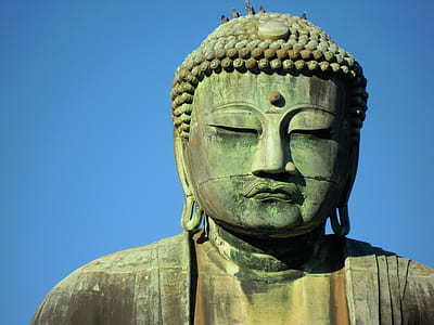 Gautama Buddha statue thumbnail
