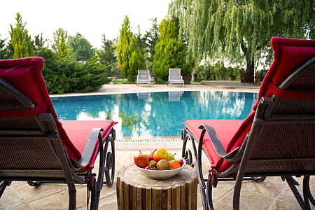 food, water, trees, table thumbnail