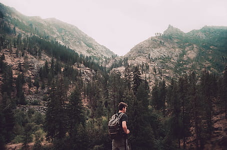 Man Standing and Facing Trees and Gray Rock Mountain Photo thumbnail