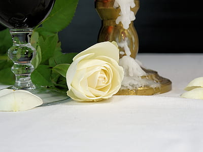 yellow rose beside two candle holders thumbnail