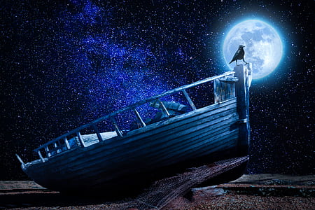 black bird on top of brown wooden boat during full moon illustration thumbnail