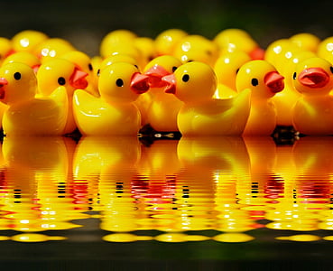 yellow rubber duckies on body of water thumbnail