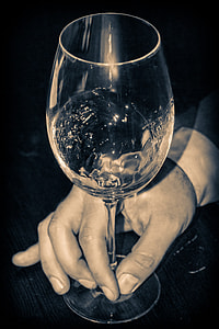 person holding clear wine glass thumbnail