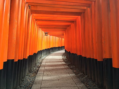 orange and black pathway thumbnail