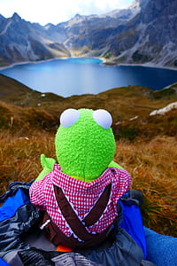 Kermit the Frog plush toy sitting on blue textile thumbnail