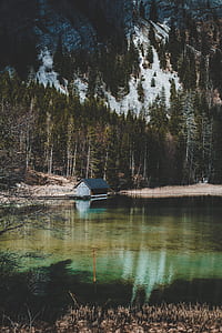 grey wooden house between body of water and green pine trees thumbnail
