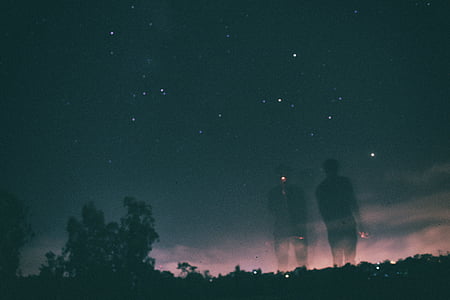 silhouette of trees under starry sky thumbnail