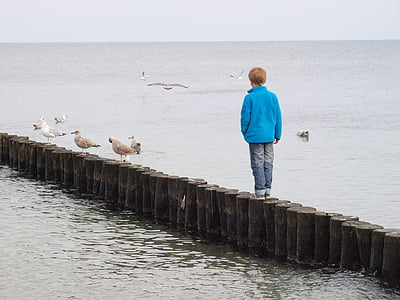 boy standing on wooden posts thumbnail