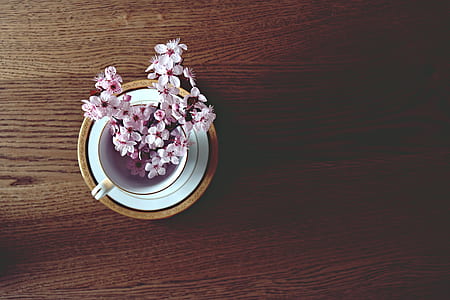 cup, flowers, table, spring thumbnail