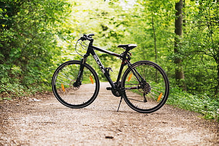 Black and White Hardtail Bike on Brown Road Between Trees thumbnail