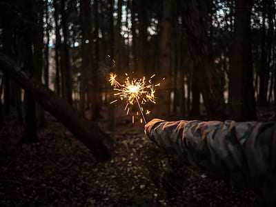 person holding firecracker thumbnail