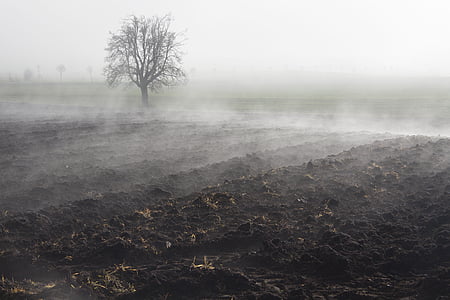landscape of open field thumbnail