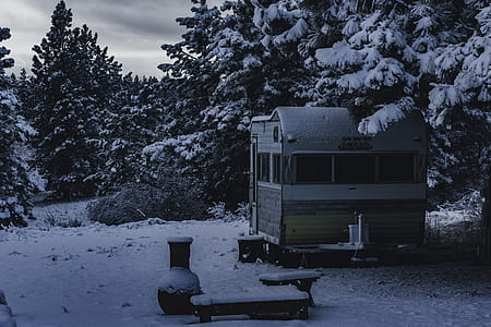 closed gray house beside trees thumbnail