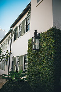 white house thumbnail