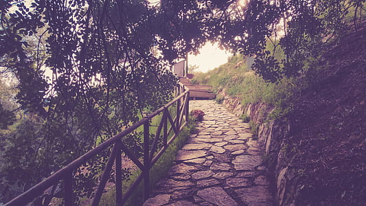Passage Way thumbnail