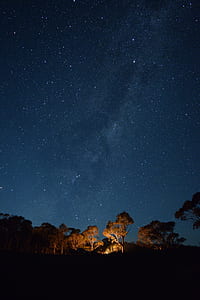 fire under trees under blue sky and starry nights thumbnail