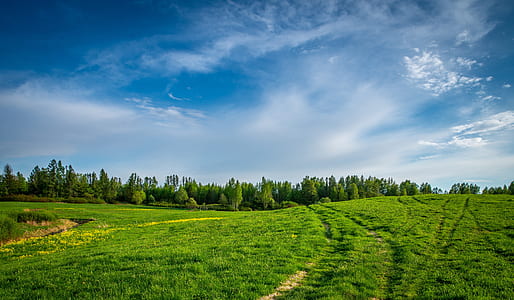 green lawn under cloudy sky thumbnail