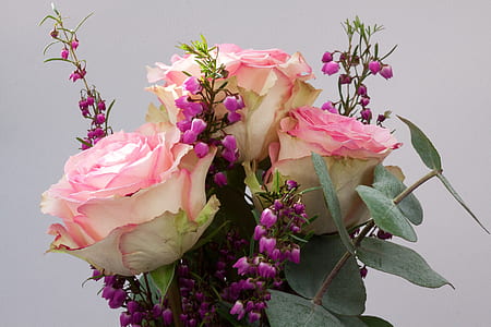 pink roses and purple bellflowers arrangement thumbnail
