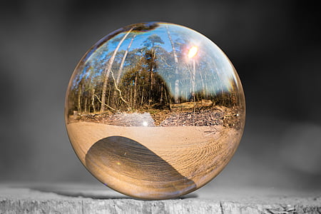 clearball photography of woods thumbnail