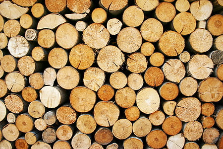 pile of log thumbnail