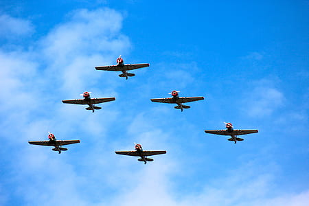 flight, flying, aerial, blue sky thumbnail