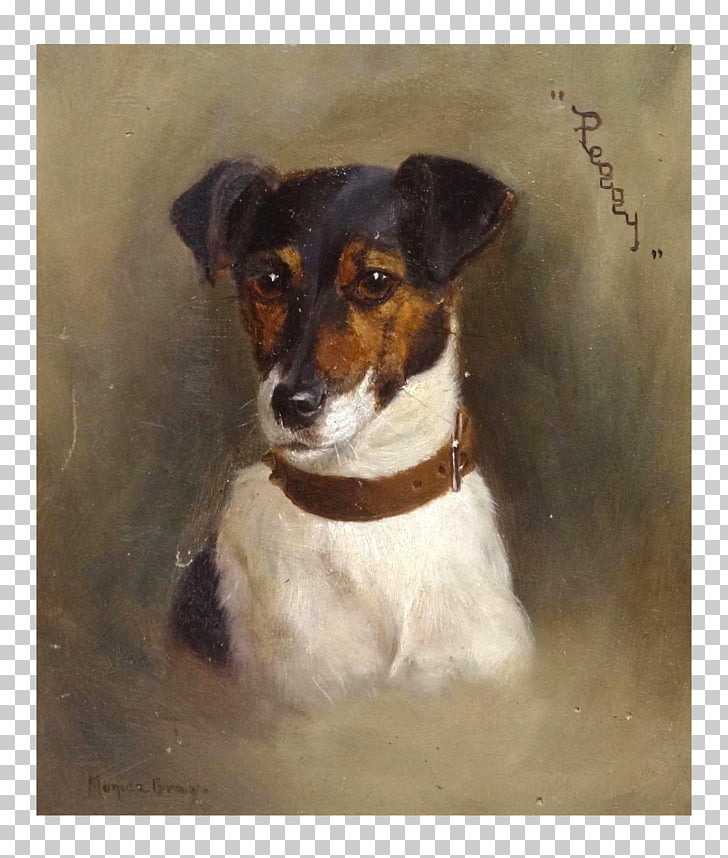 Jack Russell Terrier Miniature Fox Terrier Brazilian Terrier