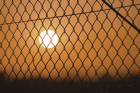 chain link fence in close-up photo at golden hour thumbnail