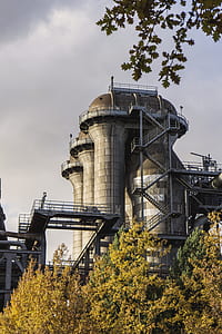 building plant near trees thumbnail