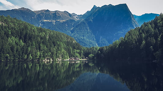 lake surrounded by trees thumbnail