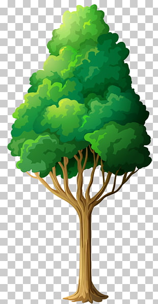 , Green Tree , green leafed tree illustration PNG clipart