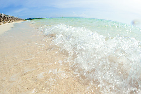 seashore during daytime thumbnail