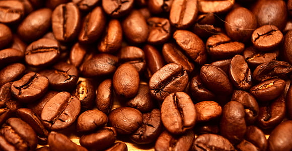 close up photo of coffee bean lot thumbnail